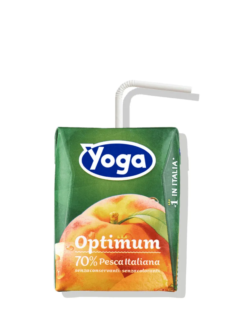 YOGA BRICK 200X24 PESCA