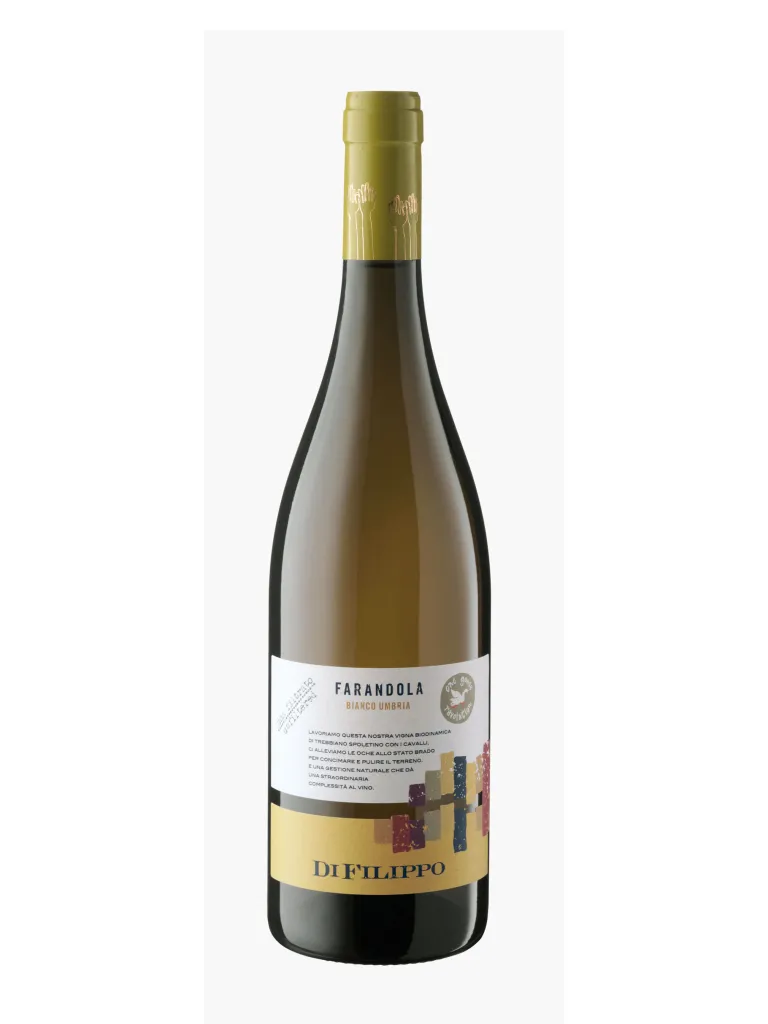 DI FILIPPO FARANDOLA BIANCO I  GT UMBRIA CL.75 2024