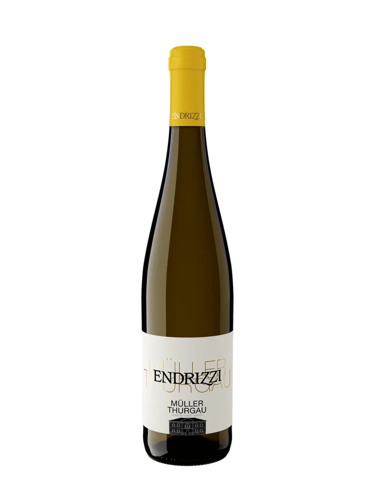ENDRIZZI MULLER THURGAU DOC     CL.75 2023