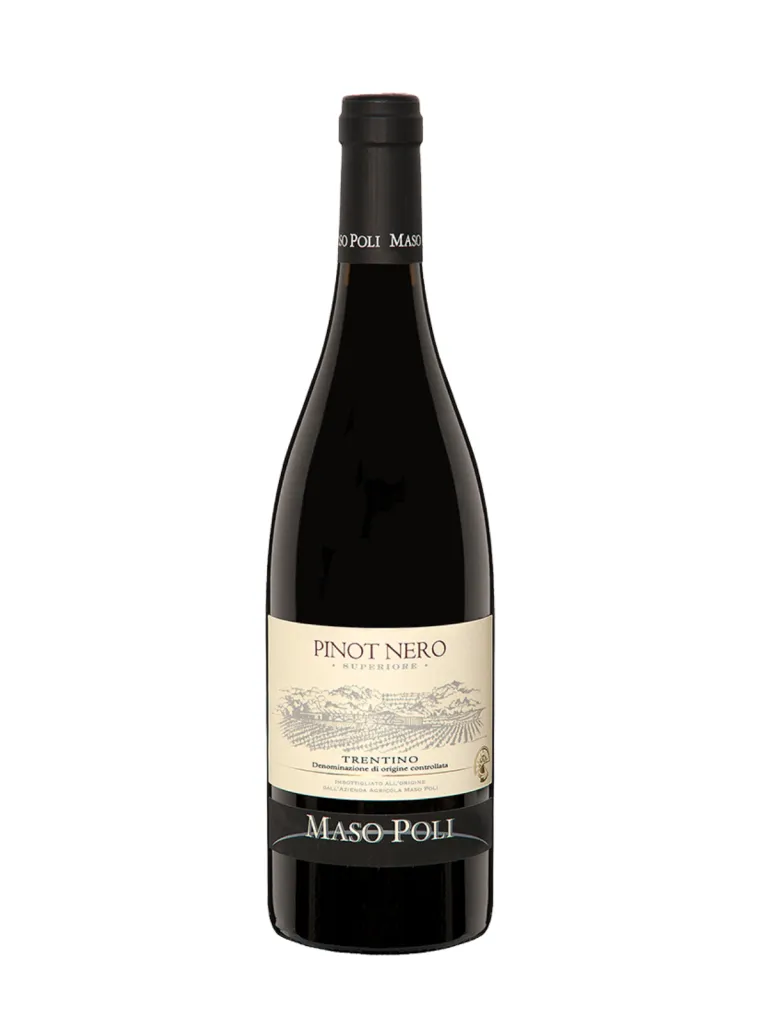 Pinot Nero Superiore Maso Poli, 0.75 L (one way), Vino Rosso Fermo