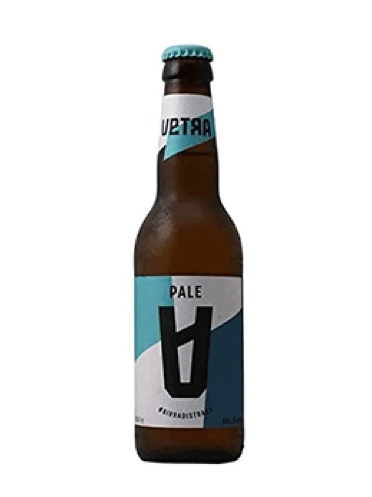 VETRA BIRRA PALE GLUTEN-FREE    0.33 OWX6