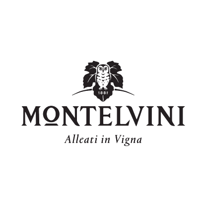 MONTELVINI